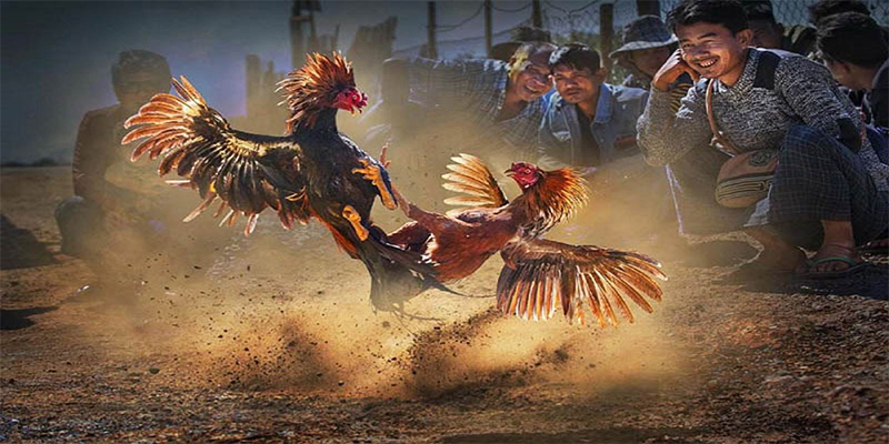 33win69 chơi bắn cá đổi thưởng