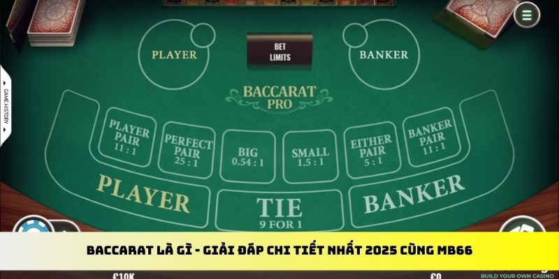 33win69 gà chọi cu cần
