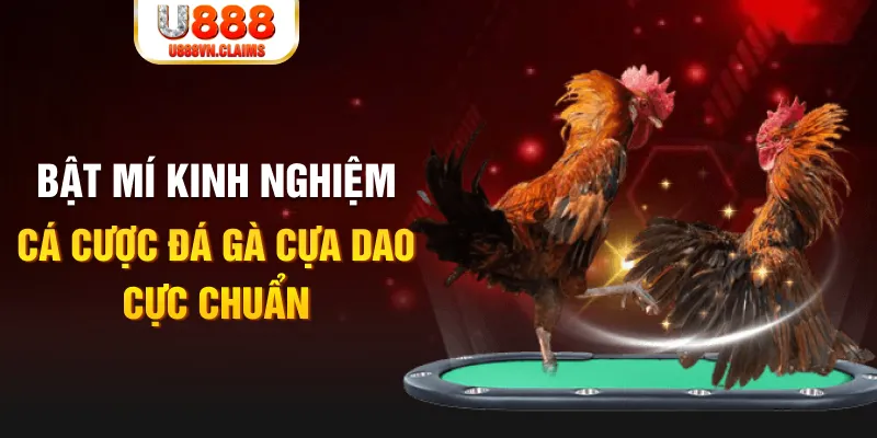 33win69 tỷ lệ cá cược châu á là gì