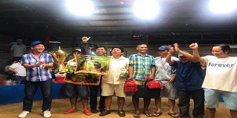 33win69 đá gà trực tiếp hôm nay