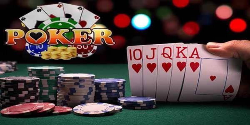 33win69 đá gà thomo trực tiếp