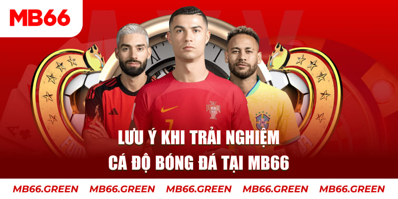 33win69 cá cược là gì