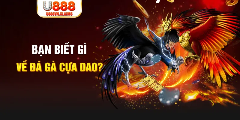 33win69 nổ hủ là gì