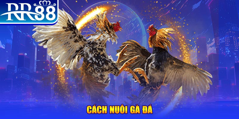 33win69 xổ số an giang