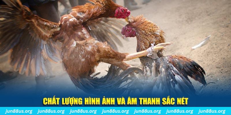 33win69 đăng nhập roulette live