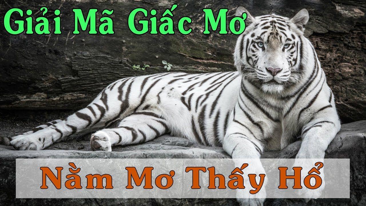 33win69 xổ số 3 miền