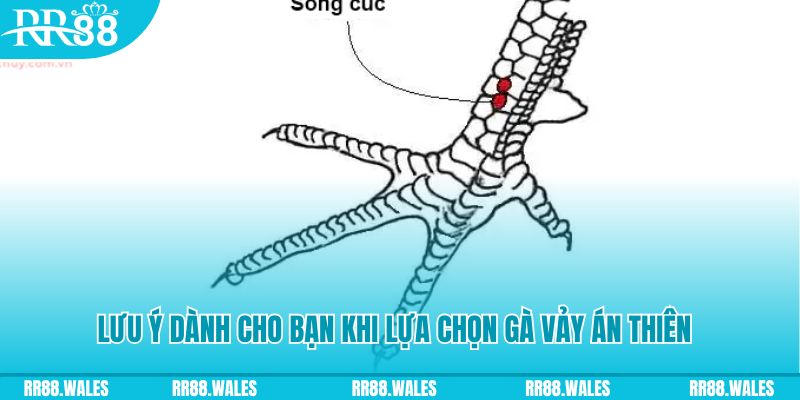 33win69 xổ số đồng nai