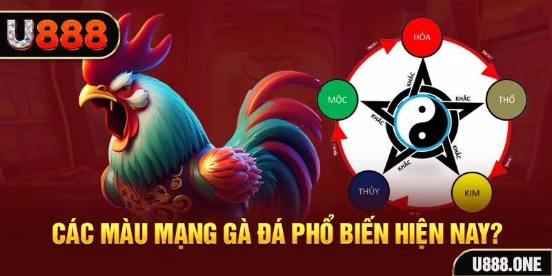 33win69 trực tiếp đá gà 88