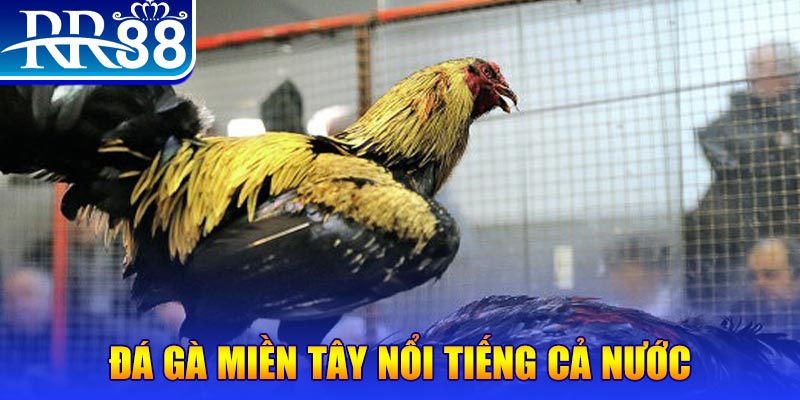 33win69 JILI Game Bài 3d