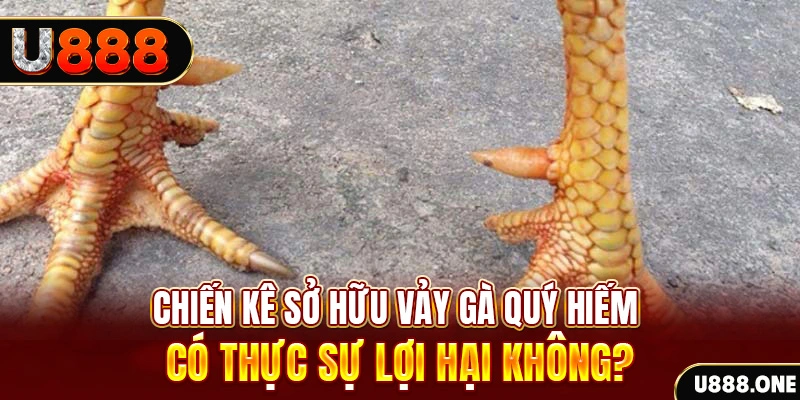 33win69 nohu .mx nổ hủ là gì