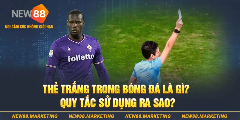 33win69 gà chọi mộc hóa