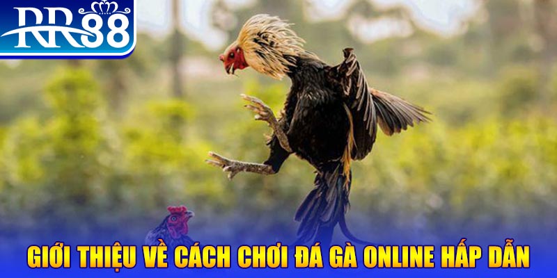 33win69 game nổ hũ rút tiền mặt là gì