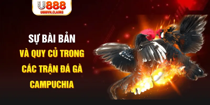 33win69 YGR Điện Tử