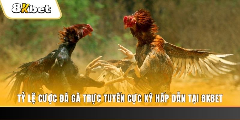33win69 đăng nhập phỏm trực tiếp