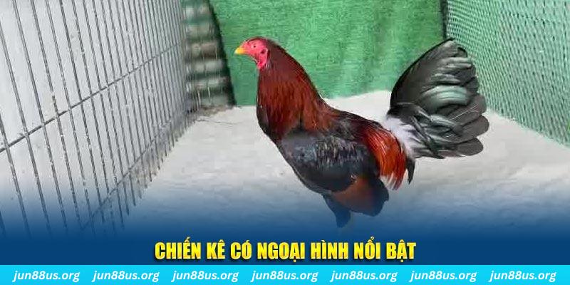33win69 chạy quảng cáo cho game bài bị phạt như thế nào