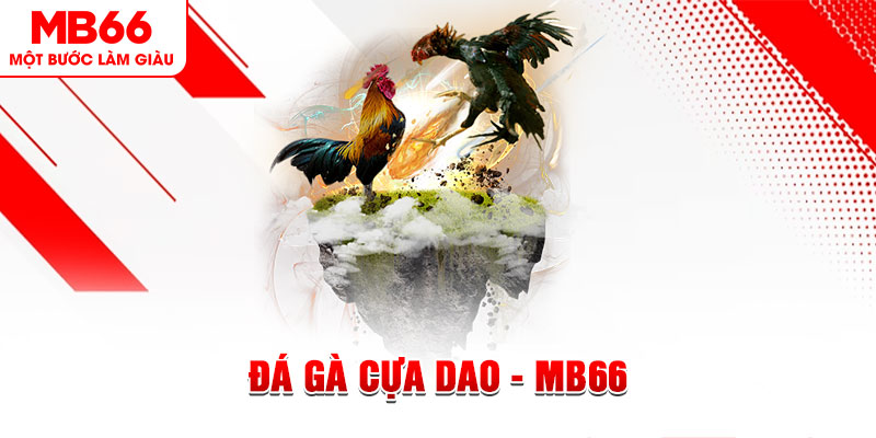 33win69 đá gà sv388 gold