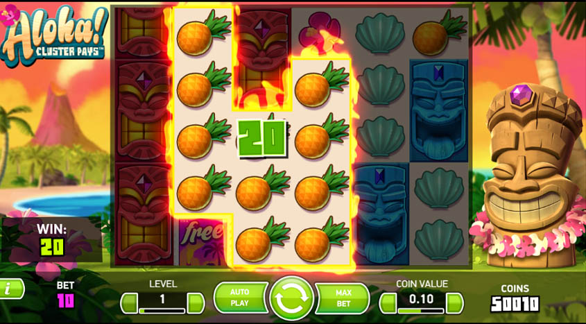 33win69 đá gà cựa dao